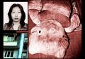 Awalnya Hanya Dikira Bualan Bocah 14 Tahun, Polisi Terkejut Ternyata Kasus Pembunuhan yang Diceritakannya Nyata, Isi di Dalam Boneka Hello Kitty Ini Jadi Buktinya