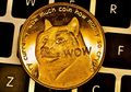 Tertarik Investasi di Dogecoin? Hati-hati, Harganya akan Selalu Turun