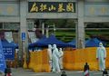 Sang Wanita Kelelawar China Akhirnya Berhasil Ditemui WHO, 3 Jam Lebih Tim Penyidik Kelayapan di Institut Virologi Wuhan, Apa yang Didapat?