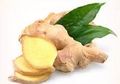 Obat Alami Alergi Sampai Penawar Racun Hewan Berbisa, Ini Dia Khasiat Lain Bumbu Dapur Temu Putih Untuk Kesehatan