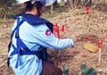 Negara Pemilik Militer Paling Paling Miskin di Asia Tenggara Ini Susah Payah Bersihkan Wilayahnya dari Ranjau Bekas Perang Masa Lalu, Jadi Negara dengan Ranjau Paling Banyak di Dunia!