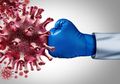 Bertahan Sampai Berapa Lamakah Kekebalan terhadap Virus Corona Covid-19?