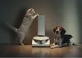 Samsung Kenalkan Vacuum Cleaner Robotik dan Laundry Berbasis AI