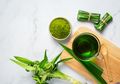 Satu Lagi Manfaat Daun Pandan yang Sayang Banget Dilewatkan, Ampuh Hilangkan Ketombe dan Menutupi Uban