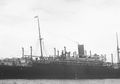 Bikin Belanda Tak Berkutik! Inilah Aksi Pemboikotan Ratusan Kapal Belanda di Australia Tahun 1945, Bukti Dukungan Tetangga terhadap Kemerdekaan Indonesia