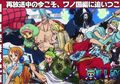 Spoiler One Piece 1007, Chopper Berhasil Menemukan Vaksin Virus Koorioni yang Ditakuti di Seluruh Dunia