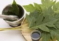 Tak Hanya Jadi Obat Alami Keputihan, Konsumsi Daun Pepaya Juga Bisa Berikan Berbagai Manfaat Ini Untuk Tubuh