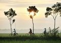 Petani Milenial: Ketika Anak Muda Jadi Petani dan Dibekali Teknologi