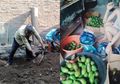 Daripada Cuma Diam Nunggu Hidup Penuh Utang, Pilot Ini Banting Setir Jadi Kuli Bangunan Semenjak Corona Hajar Maskapainya, Pramugari Sampai Jual Alpukat Demi Sesuap Nasi di Pandemi