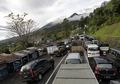 Upaya Pemerintah Bikin Kawasan Puncak Hijau Lagi dalam 3 Tahun