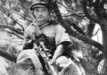 Sniper Jepang, Pantang Keluar Sarang Kecuali Jadi Mayat, Hanya Senapan Mesin Antitank yang Bisa Menundukkannya