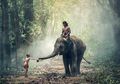 Tafsir Mimpi Menaiki Gajah, Benarkah ini Malah Pertanda Baik?