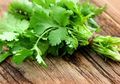 Siapa Sangka Daun Seledri Bisa Jadi Obat Alami Tangkal Covid-19!