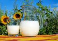 Jangan Lagi Campurkan Susu Dengan 4 Bahan Makanan Ini, Efeknya Buruk Bagi Kesehatan
