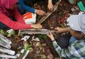 Lahan Gambut Tropis Tertua di Dunia Ditemukan di Pedalaman Kalimantan
