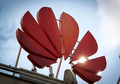 Huawei Semakin Kembangkan Teknologi Miliknya, Hampir Saingi Google