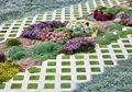 Lumut sebabkan Paving Block Licin, Cara Membasmi Tanpa Bahan Kimiawi