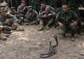 Latihan Militer 'Cobra Gold:' Saat Pasukan Indonesia dan 6 Negara Lain Minum Darah Kobra, Menggigit Tokek Mentah, hingga Hilangkan Racun Kalajengking