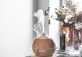 Ternyata Begini Cara Bedakan Diffuser, Humidifier, dan Purifier yang Cocok untuk Kurangi Polusi di Rumah!