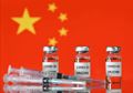 Padahal Masih Jadi Vaksin Utama yang Digunakan Indonesia, Ternyata Pakar Jepang Justru Meragukan Vaksin Sinovac, Bahkan Menyebut Vaksin Buatan China Itu Tak Bisa Dipercaya