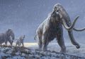 DNA Tertua di Dunia Ditemukan, Milik Mammoth Purbakala di Siberia