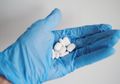 Ternyata Ini Kandungan Sebenarnya Obat Covid-19 Temuan Prof Dr Richard Claproth, Obat Yang Disebut Sembuhkan Warga Malang Dari Corona