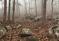 Peneliti Ungkap Misteri Umur dari 'Guci Orang-Orang Mati' di Laos