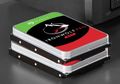 Seagate Luncurkan Tiga Storage untuk NAS, Satu HDD dan Dua SSD