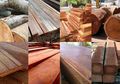 Masalah Terfavorit Kayu, Pencegahan dan Solusinya, Cek Yuk Kayu Mania