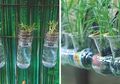 Berkebun Tanpa Limbah dengan Manfaatkan Barang Bekas, Ini Inspirasinya
