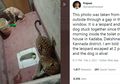 Mendebarkan, Video Ini Ungkap Kisah saat Anjing dan Macan Tutul Terkurung Bersama selama 7 Jam Macan di Toilet, Warga Pun Ramai Berkumpul di Sekitar Lokasi