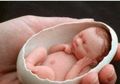 Dilahirkan Sebagai Bayi Terkecil di Dunia, Hingga Bisa Diletakkan Dalam Telur Ayam, Siapa Sangka Penampilan Bayi Mungil Ini Setelah Dewasa Bikin Pangling Banyak Orang