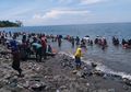 Heboh Warga Dulang Emas di Pantai Maluku, Ahli Geologi Angkat Bicara