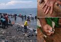 Nelayan Pesisir Pantai Maluku Tengah Ketiban Rejeki Nomplok Butiran Emas di Tepi Pantai, Siapa Sangka Kejadian Persis Sama Pernah Dirasakan Warga Kelaparan di Negara dengan Tambang Emas Besar Ini