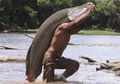 'Monster Sungai Amazon' Ditemukan Mati di Florida, Warga Khawatir Populasi Ikan Predator Raksasa Ini Sudah Menyebar dan Terus Berkembang