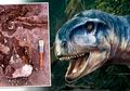 Ilmuwan Tercengang, Dikira T-rex yang Paling Buas, Ternyata Ada Dinosaurus yang Dianggap Jauh Lebih Berbahaya dari T-Rex, Tetapi Hanya Sedikit Info Tentangnya, Seperti Inilah Wujudnya