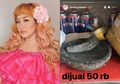 Bikin Prihatin, Mantan Rekan Duet Maia Estianty Ini Mendadak Jual Rugi Cobek hingga Sofa Miliknya, Eks Duo Ratu: Kayak Orang Bego