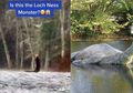 Penampakan Monster Loch Ness Tertangkap Google Earth, Ada Juga yang Melihatnya Langsung dan Berkata: 'Tidak Ada Leher Panjang, Tidak Ada Kepala, Hanya Punuk'
