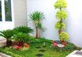 Taman Mungil Tampil Menawan, Pakai Jurus Ini untuk Mewujudkan