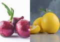 Mulai Sekarang Coba Minum Campuran Lemon dan bawang Merah, Kemudian Rasakan Enam Manfaat Baik Ini Pada Tubuh