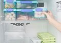 Jangan Salah Sangka, Ternyata Begini Alasan Tak Ada Lampu di Freezer Kulkas, Kecuali Pas Dibuka!