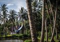 Lawatan ke Kampung Tan: Dia Kembali Dikenal di Kampungnya Sendiri