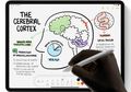 Lagi dan lagi, Bentuk Apple Pencil Generasi Ketiga Bocor di Internet!