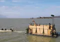 Evakuasi Dramatis Bayi Jerapah yang Terjebak di Pulau yang Tenggelam