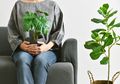Percantik Rumah dengan Tanaman Artifisial Tanpa Repot, Ini Tipsnya