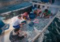 Tradisi Memancing Dengan Jaring Nelayan Tanjung Binga, Belitung.