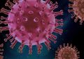 Arti 'Viral Load' dalam Covid-19: Apakah Ini Menunjukkan Tingkat Keparahan Penyakit?