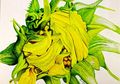 Telusur Riwayat Perkembangan Seni Ilustrasi Botani di Indonesia