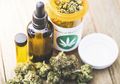 Riset Terbaru Ungkap Efek Senyawa Ganja dalam Redakan Rasa Sakit