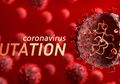 Varian VS Vaksin: Kala Mutasi Virus Corona-lah Musuh Utama Berakhirnya Pandemi Covid-19 di Dunia, Inilah Kunci Semua Mutasi Virus Corona yang Hancurkan Antibodi Manusia